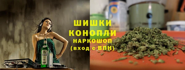 ПСИЛОЦИБИНОВЫЕ ГРИБЫ Алзамай