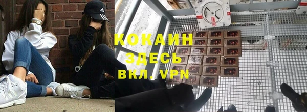 ПСИЛОЦИБИНОВЫЕ ГРИБЫ Алзамай