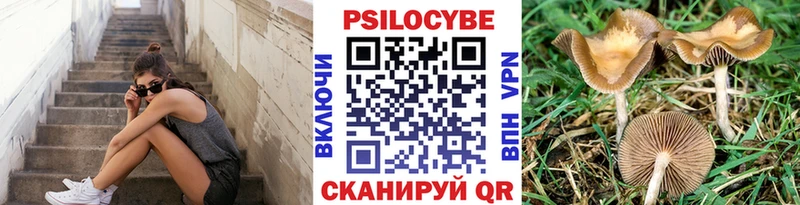 как найти наркотики  Орлов  Псилоцибиновые грибы прущие грибы 